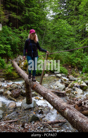 Randonnées sur un pont en bois à travers une rivière Creek dans les bois. Pris sur la piste vers le haut de la montagne du Nouveau-Brunswick, au nord de Vancouver, BC, Canada. Banque D'Images