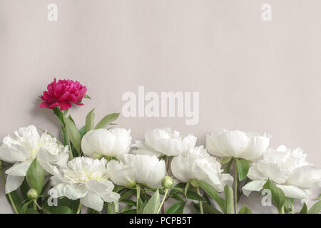 Fleur faite de blanc et violet pivoines. De belles fleurs d'été. Banque D'Images