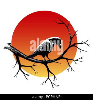 Corbeau noir assis sur une branche d'arbre sans feuilles isolées contre le soleil sur le noir. Vector illustration Illustration de Vecteur