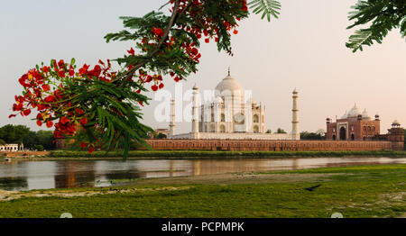 Le Mausolée du Taj Mahal à Agra, Inde, vu de l'autre rive de la rivière Yamuna, près du jardin de la Lune, au coucher du soleil. Banque D'Images