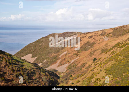 La vue le long hiver Henners Coombe à partir d'un sentier le long du dos d'Bossington Hill dans le Parc National d'Exmoor à Somerset, England, UK Banque D'Images