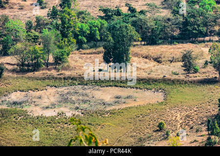 Ferme indienne champs et arbres vue aérienne de haut des collines / montagne d'un village rural de l'Inde. Banque D'Images