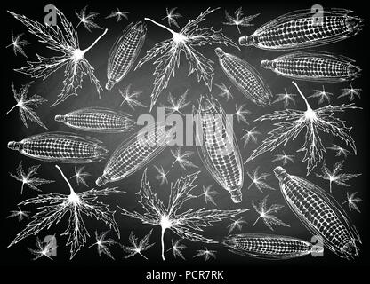 Légumes d'automne Fond d'illustration, de la main de maïs doux ou de maïs et de feuilles d'érable sur tableau noir. Plante symbolique pour montrer Illustration de Vecteur
