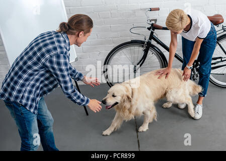 High angle view of young businessman Playing with dog in office