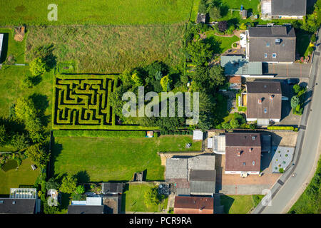 Dédale dans le jardin privé Grabenstraße 66, Bünde, à l'Est de la Westphalie, Rhénanie-Palatinat, Allemagne Banque D'Images