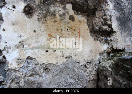 Fresque colorée de deux oiseaux dans une chambre de classe supérieure dans la ville antique de Pompéi, près de Naples, Italie Banque D'Images