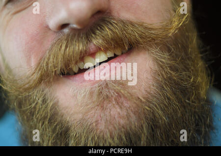 Sourire avec moustache Close Up. Partie du visage d'un homme barbu Banque D'Images