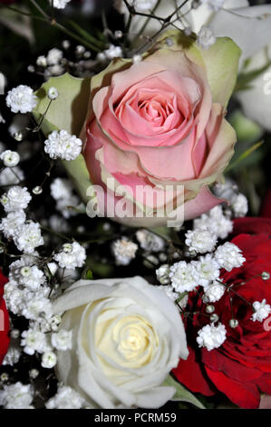 Bague de fiançailles Banque D'Images