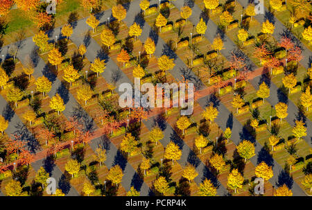 Vue aérienne, parking vide avec les arbres d'automne à la Haute cour régionale Hamm, Hamm, Ruhr, Nordrhein-Westfalen, Germany, Europe Banque D'Images