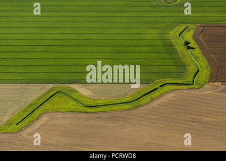 Vue aérienne, fossé de drainage, champ, paysage graphique, Groß Polzin, mer Baltique, Mecklembourg-Poméranie-Occidentale, Allemagne, Europe Banque D'Images