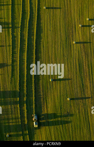 Agriculteur, fermier foin, bottes de foin, ensilage d'herbe, tracteur, presse à balles rondes à Brilon, Sauerland, Rhénanie du Nord-Westphalie, Allemagne Banque D'Images