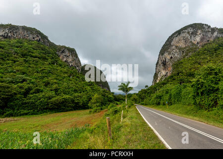 Route de campagne avec bande médiane dans la vallée de Vinales, Viñales, Cuba, Pinar del Río, Cuba, voyage, île, Grandes Antilles, Banque D'Images