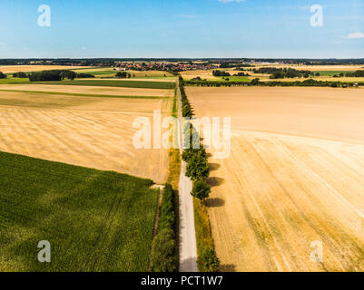 Vue aérienne d'une route de terre, qui est conçu comme une avenue avec une rangée d'arbres, d'un village à l'horizon. Banque D'Images