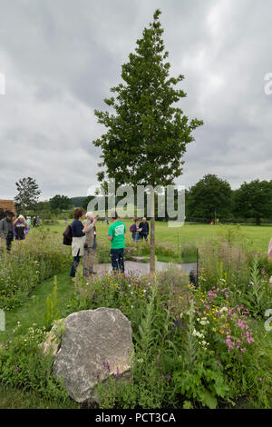 Personnes voir caractéristique centrale arbre, zone pavée et fleurs dans un beau jardin, salon de jardin, Héritage - Macmillan Chatsworth RHS Flower Show, England, UK. Banque D'Images