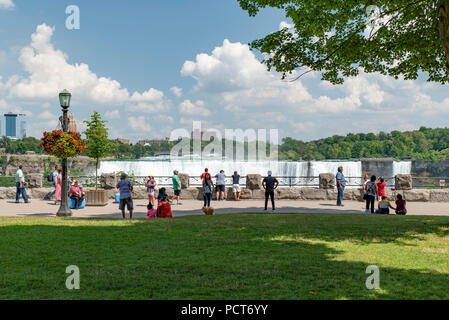 Niagara Falls, NY, USA. Haut de l'American et Bridal Veil Falls en été, vu du côté canadien Lookout. Banque D'Images