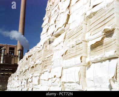 Usine de papier Kraft, Southland (chimie) utilisé dans la fabrication de pâte à papier journal, Lufkin, Texas - Avril 1943 Banque D'Images