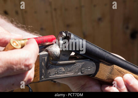 Les mains de l'homme chargement double-barrel shotgun, USA Banque D'Images