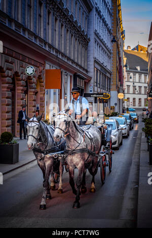 Europa, Wien, Österreich, Innere Stadt, Innenstadt, Habsburgergasse, Kutsche, Fiacre, Vienne, Autriche, de l'architecture, des capitaux Banque D'Images