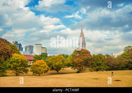 Nature et environnement urbain, dans la région de Tokyo. Quartier de Shinjuku gratte-ciel vu de Meiji Jingu parc public à l'automne Banque D'Images