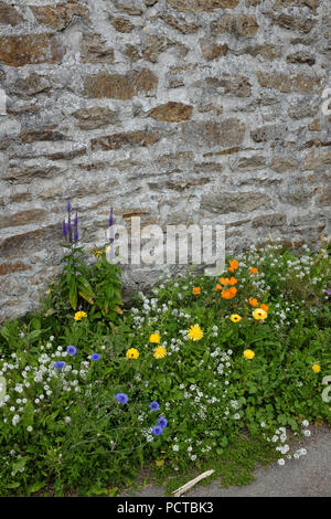 Jardin fleuri en Bretagne Banque D'Images