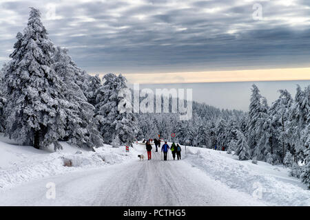 Sentier de randonnée pédestre au Brocken (1142m), Résine, Saxe-Anhalt, Allemagne Banque D'Images