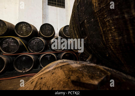 Les vineries Delgado existent depuis 1874 dans la ville andalouse Puente Genil. Produit des vins doux, certains des meilleurs d'Espagne Banque D'Images