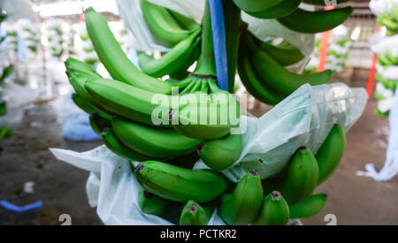 L'emballage des bouquets de bananes Banque D'Images