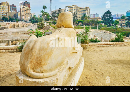 L'ancien territoire de sphinx sur Ad Dikka Kom site archéologique, Alexandrie, Egypte. Banque D'Images