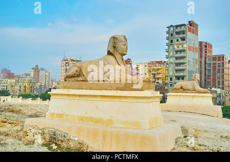 Les grandes statues de sphinx décorent le Al Amoud Sawari site archéologique, Alexandrie, Egypte. Banque D'Images