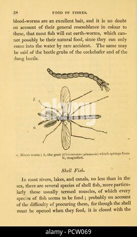 L'alphabet de la pêche scientifique à l'usage des débutants Banque D'Images