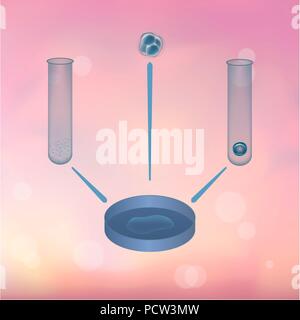 La fécondation in vitro (FIV), l'illustration. Banque D'Images