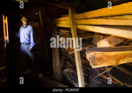 Confisqué des planches de bois de cèdre Mulanje endanged, Widdringtonia whytei, confisqués par Département des forêts, le mont Mulanje, District Sud, au Malawi. Banque D'Images