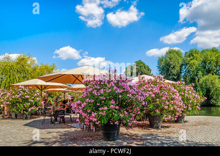 Sur les bords de la rivière Havel à Potsdam, Allemagne - romantique terrasse de café entouré de grands lauriers roses en pot. Banque D'Images