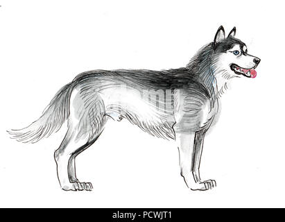 L'article chien husky. Encre et aquarelle illustration Banque D'Images