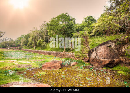 Lever du soleil sur le canal sur le chemin de la forteresse de Sigiriya Lion Rock. Sri Lanka Banque D'Images