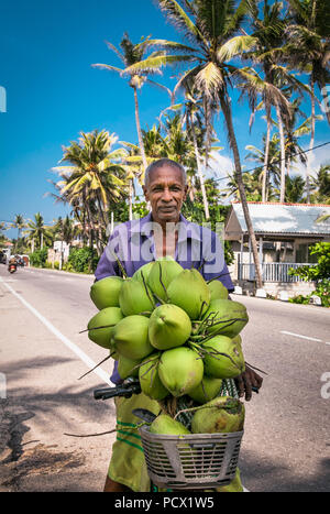 Le Weligama, SRI LANKA - JAN 6, 2017 : l'homme local non identifié de coco frais de vente le Jan 7, 2017. En Weligama, Sri Lanka. Coco frais contiennent du lait Banque D'Images