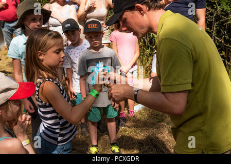 Woodstock, UK, 4 août 2018. Les visiteurs se pressent à BBC Countryfile Live, qui a eu lieu dans la propriété de Blenheim Palace. La faune, les animaux, la nourriture, les sports de plein air, la conservation, l'agriculture, des affaires rurales, animation, tous étaient représentés. Une démonstration au BTO stall sur sonnerie, peser et mesurer une Bergeronnette des ruisseaux (motacilla) cinereabto avant qu'il a été libéré par une jeune fille. Crédit : Stephen Bell/Alamy Live News. Banque D'Images