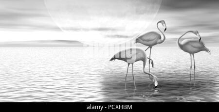 Illustration 3D monochrome avec trois flamants roses sur l'arrière-plan du soleil levant.de beaux paysages. Banque D'Images