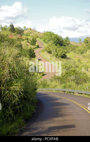 Route sinueuse sur le chemin de la Waimea Canyon Overlook à Kauai, Hawaii, United States. Banque D'Images