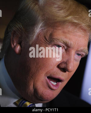 NEW YORK, NY - 20 janvier : Donald Trump participe à 'Celebrity Apprentice' Red Carpet Event at Trump Tower le 20 janvier 2015 à New York City People : Donald Trump Banque D'Images