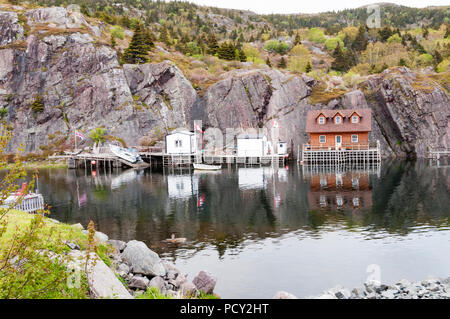 Bâtiments vus à travers le port de Quidi Vidi au lac Quidi Vidi, St John's, Terre-Neuve Banque D'Images