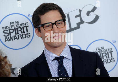 SANTA MONICA, CA - 21 février : Andy Samberg assiste au Film Independent Spirit Awards 2015 à la plage de Santa Monica le 21 février 2015 à Santa Monica, en Californie, les gens : Andy Samberg Banque D'Images