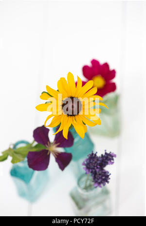 Fleurs cueillies dans des bouteilles en verre vintage sur fond blanc Banque D'Images