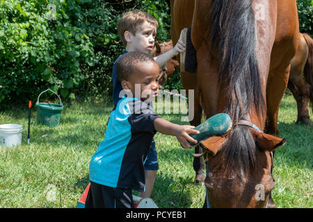 Detroit, Michigan - Les enfants ont eu la chance de rouler et d'apprendre sur les chevaux à un parc de la ville. L'événement a été organisé par Detroit, une puissance organizati Banque D'Images