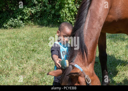 Detroit, Michigan - Les enfants ont eu la chance de rouler et d'apprendre sur les chevaux à un parc de la ville. L'événement a été organisé par Detroit, une puissance organizati Banque D'Images