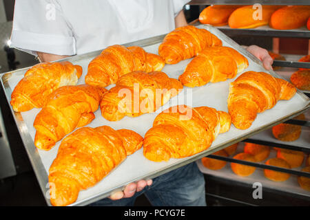 Baker est titulaire des croissants dans les mains sur la feuille. Banque D'Images