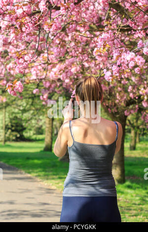 Une jeune femme photographies les cerisiers en fleurs au printemps dans le parc de Greenwich, Londres Banque D'Images
