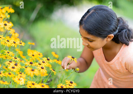 Petite fille admirant le tournesol dans un jardin Banque D'Images