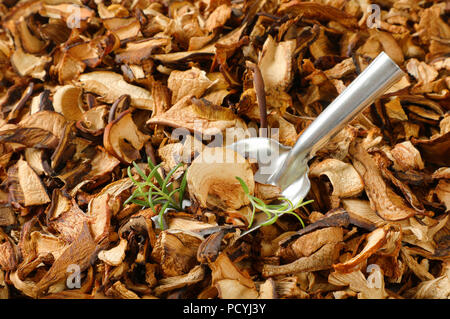 Boule de champignons secs sur fond de champignons Banque D'Images