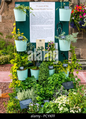 Affichage Floral célèbre 70 ans de plantes médicinales du National Health Service, église abbatiale, North Berwick en fleur, East Lothian, Scotland, UK Banque D'Images